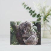 Koala Briefkaart (Staand voorkant)