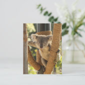 Koala Briefkaart (Staand voorkant)
