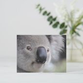 Koala Briefkaart (Staand voorkant)