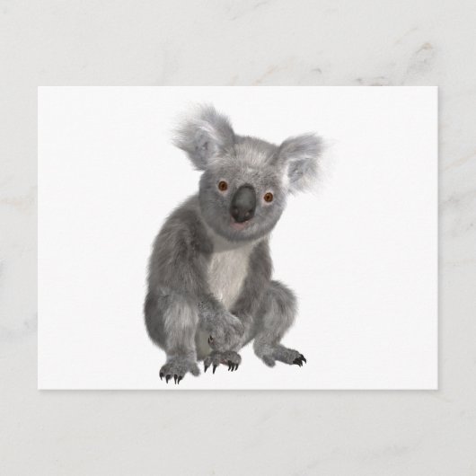 Koala Briefkaart (Voorkant)
