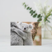 Koala Briefkaart (Staand voorkant)
