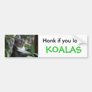 Koala Bumpersticker