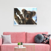 koala canvas afdruk (Insitu (Woonkamer))