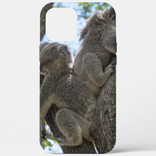 Koala Case-Mate iPhone Case (Achterkant)