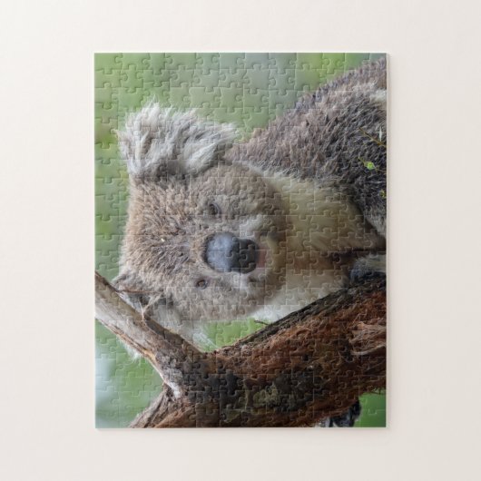 Koala Close Up, Jigsaw Puzzle (Vertical)