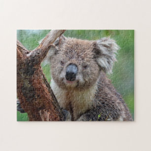 Koala Close Up, Jigzaag Puzzle Legpuzzel