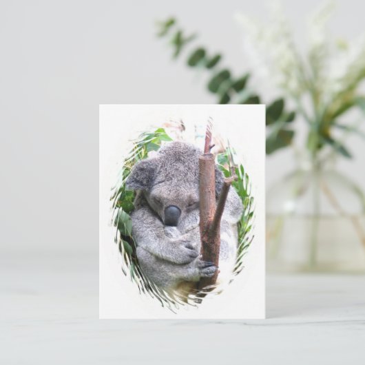 Koala Cuddle Kaart (Staand voorkant)