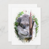 Koala Cuddle Kaart (Voorkant / Achterkant)