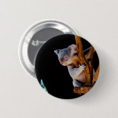 Koala Cute in Tree Grey Ronde Button 5,7 Cm (Voorkant /achterkant)