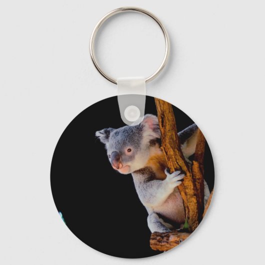 Koala Cute in Tree Grey Sleutelhanger (Voorkant)
