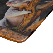 Koala Cute in Tree Grey Snijplank (Hoek)