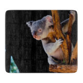 Koala Cute in Tree Grey Snijplank (Voorkant)