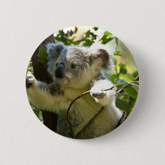 Koala cutie ronde button 5,7 cm