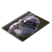 Koala dans le carnet d'arbre (Côté gauche)