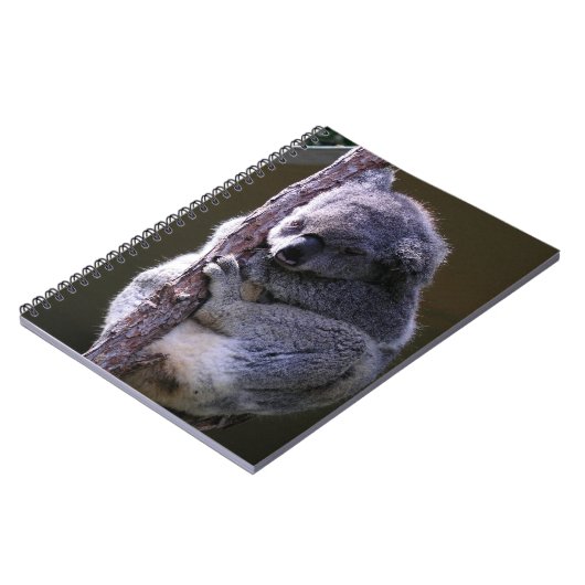 Koala dans le carnet d'arbre (Côté gauche)