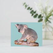 Koala Drawing Briefkaart (Staand voorkant)