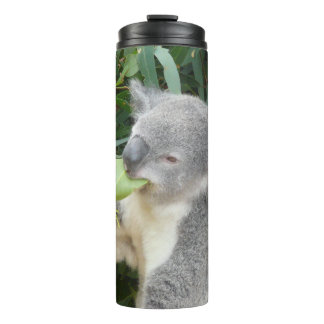 Koala Eating Gum Leaf Drink Bottle Thermosbeker