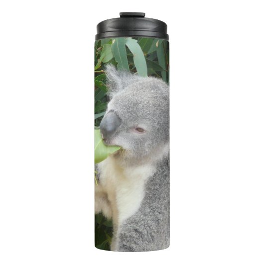 Koala Eating Gum Leaf Drink Bottle Thermosbeker (Voorkant)