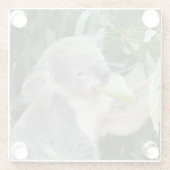 Koala Eating Gum Leaf Glazen Onderzetter (Achterkant)