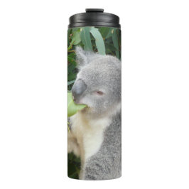 Koala eet kauwblad drinkfles thermosbeker
