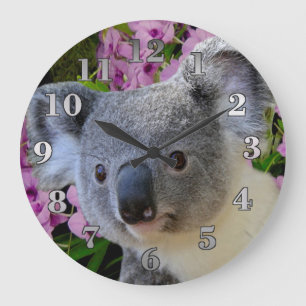 Koala en Orchids Grote Klok