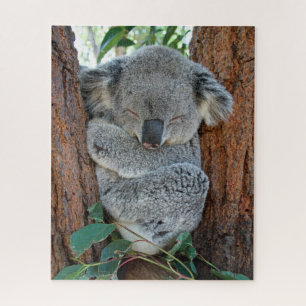 Koala endormie, Puzzle de Jigsaw