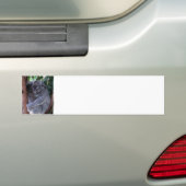 Koala Family Bumpersticker (Op auto)