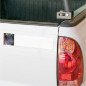 Koala Family Bumpersticker (Op Truck)