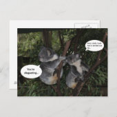 Koala fun briefkaart (Voorkant / Achterkant)