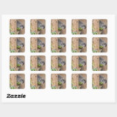 Koala Headshot Vierkante Sticker (Vel)