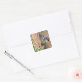 Koala Headshot Vierkante Sticker (Envelop)