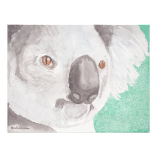 Koala I Foto Afdruk