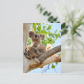 KOALA IN BOOM QUEENSLAND AUSTRALIË BRIEFKAART (Staand voorkant)