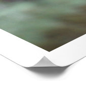 Koala in de boom poster (Hoek)