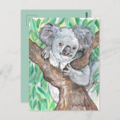 Koala in de Eucalyptusboom Briefkaart (Voorkant / Achterkant)