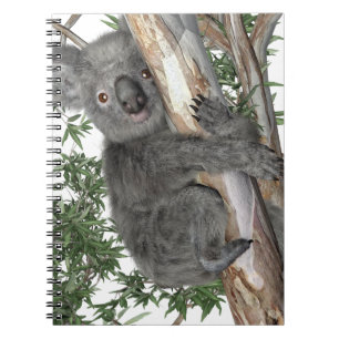 Koala in een boom notitieboek