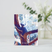 Koala in het vee Australië Briefkaart (Staand voorkant)