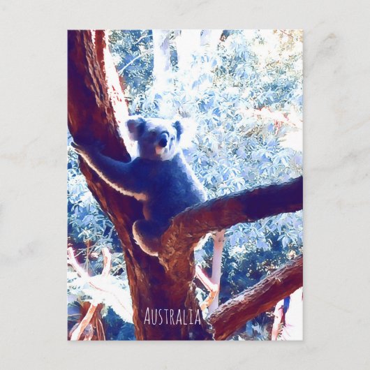 Koala in het vee Australië Briefkaart (Voorkant)