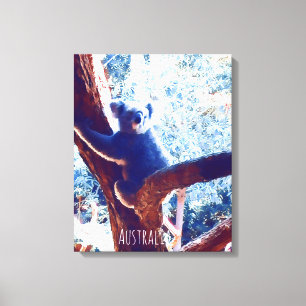 Koala in het vee Australië Canvas Afdruk