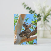 KOALA IN TREE QUEENSLAND AUSTRALIË BRIEFKAART (Staand voorkant)