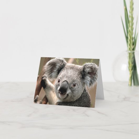 Koala Kaart (Voorkant)