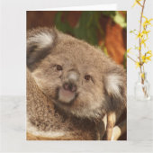 Koala Kaart (Gele Bloem)