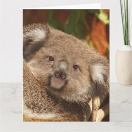 Koala Kaart