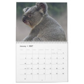 Koala Kalender (Jan 2027)