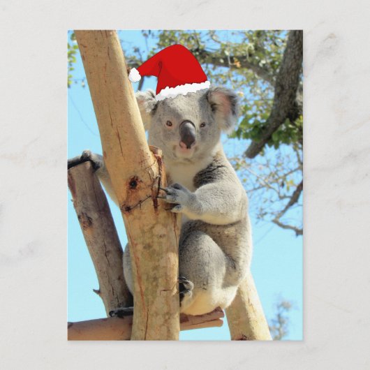 Koala Kerst Briefkaart (Voorkant)