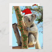 Koala Kerst Flat Kaart (Voorkant / Achterkant)