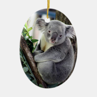 Koala Kerstmis Keramisch Ornament