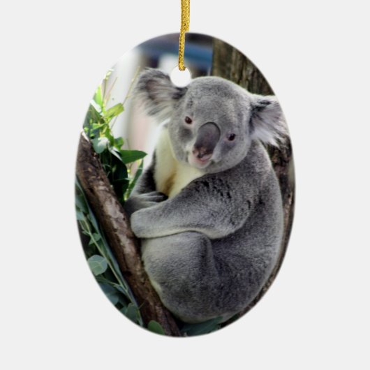 Koala Kerstmis Keramisch Ornament (Voorkant)