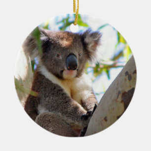 Koala Kerstversier Keramisch Ornament