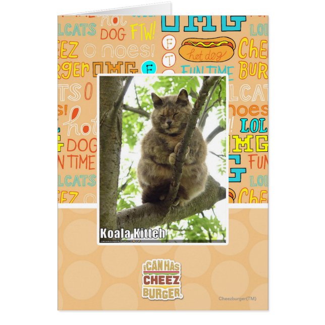 Koala Kitteh (Voorkant)